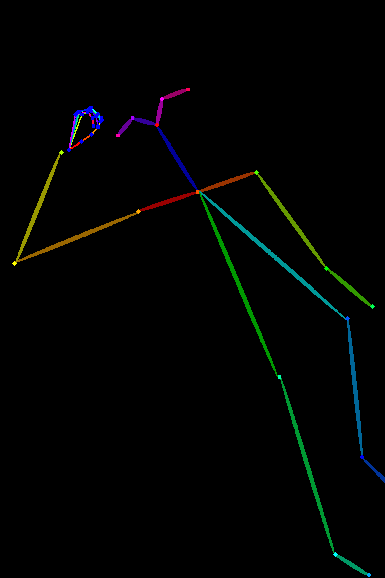 lying032_bone_structure.png