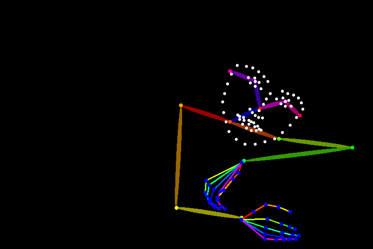 lying009_bone_strucure.png