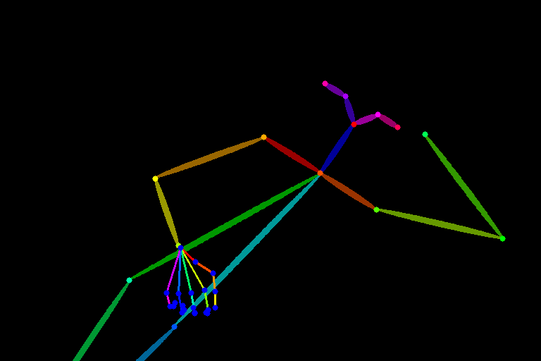lying010_bone_structure.png