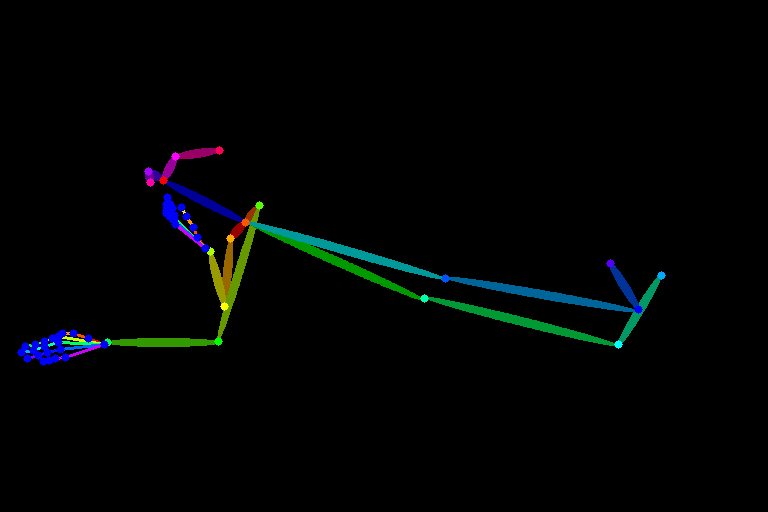 lying027_bone_structure.png