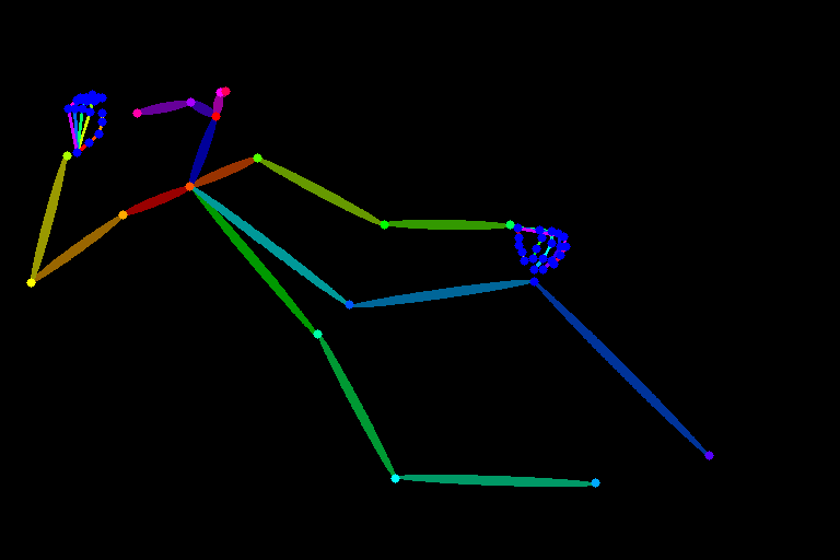 lying029_bone_structure.png