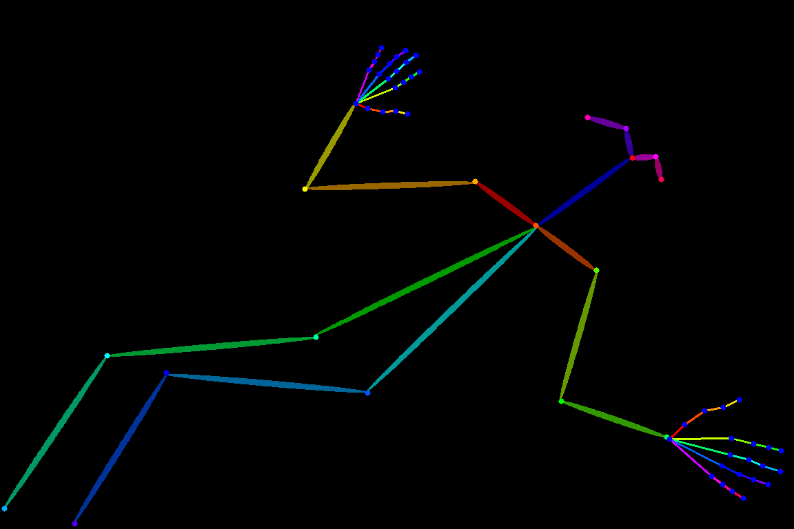 lying033_bone_structure.png