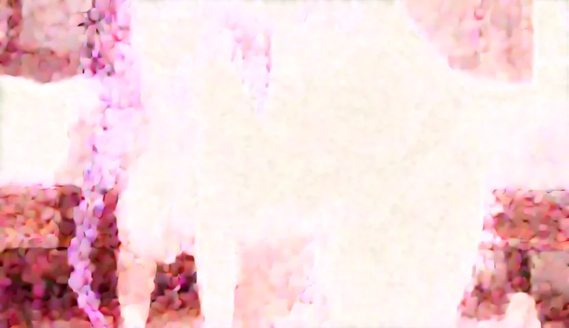 Wan wan_output_00017_.webp
