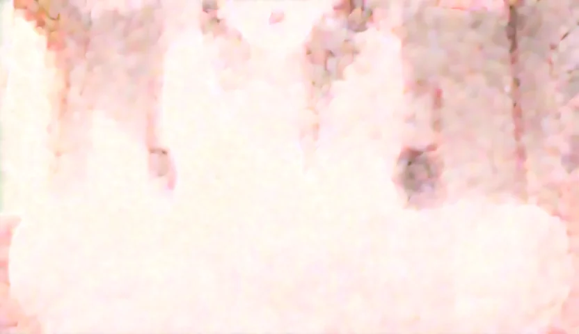 Wan wan_output_00626_.webp