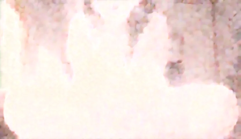 Wan wan_output_00628_.webp
