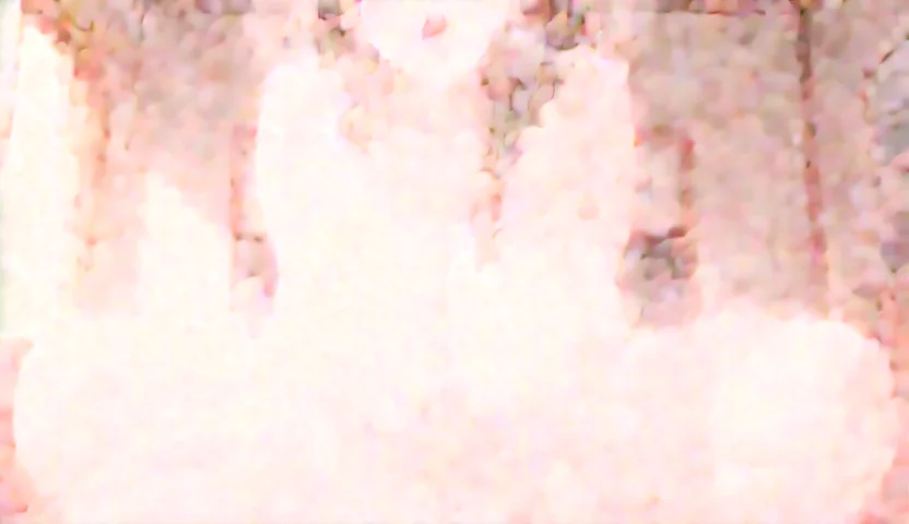 Wan wan_output_00631_.webp